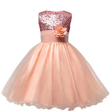 Load image into Gallery viewer, Cute Baby Dresses for Girls Birthday Baby