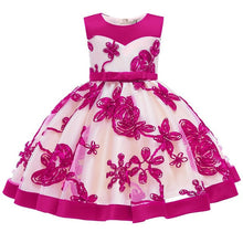 Load image into Gallery viewer, 2019 Flower Embroidery Baby Girl Dress 3M-24M