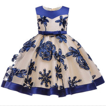 Load image into Gallery viewer, 2019 Flower Embroidery Baby Girl Dress 3M-24M