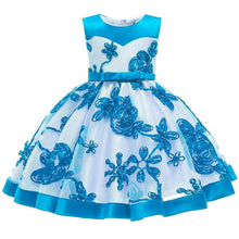 Load image into Gallery viewer, 2019 Flower Embroidery Baby Girl Dress 3M-24M