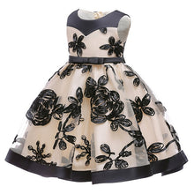 Load image into Gallery viewer, 2019 Flower Embroidery Baby Girl Dress 3M-24M