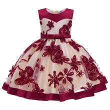 Load image into Gallery viewer, 2019 Flower Embroidery Baby Girl Dress 3M-24M