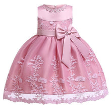 Load image into Gallery viewer, 2019 Flower Embroidery Baby Girl Dress 3M-24M